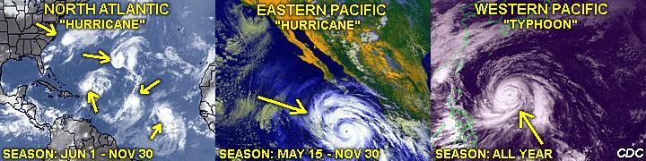 Anatomy of monster storm: how Cyclone Ilsa is shaping up to